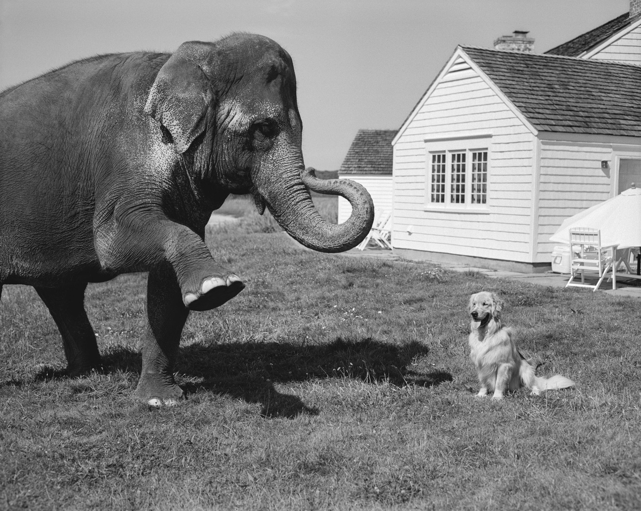 Bruce Weber - ADC Hall of Fame | Creative Hall of Fame